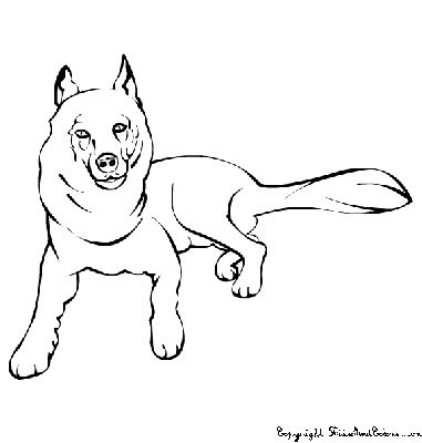 Dogs 9